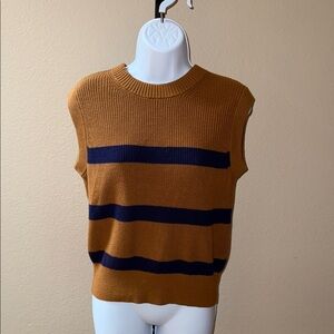 Everlane Tan and Blue Striped 100% Organic Cotton Sleeveless Sweater Vest Sz XXS
